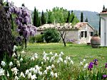 vacances en Maremma prs des Therme de Saturnia ou dans le village de Saturnia en Toscane